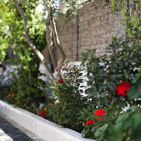Vila Feliz - Premium Rooms With Free Private Parking Вльора Екстер'єр фото
