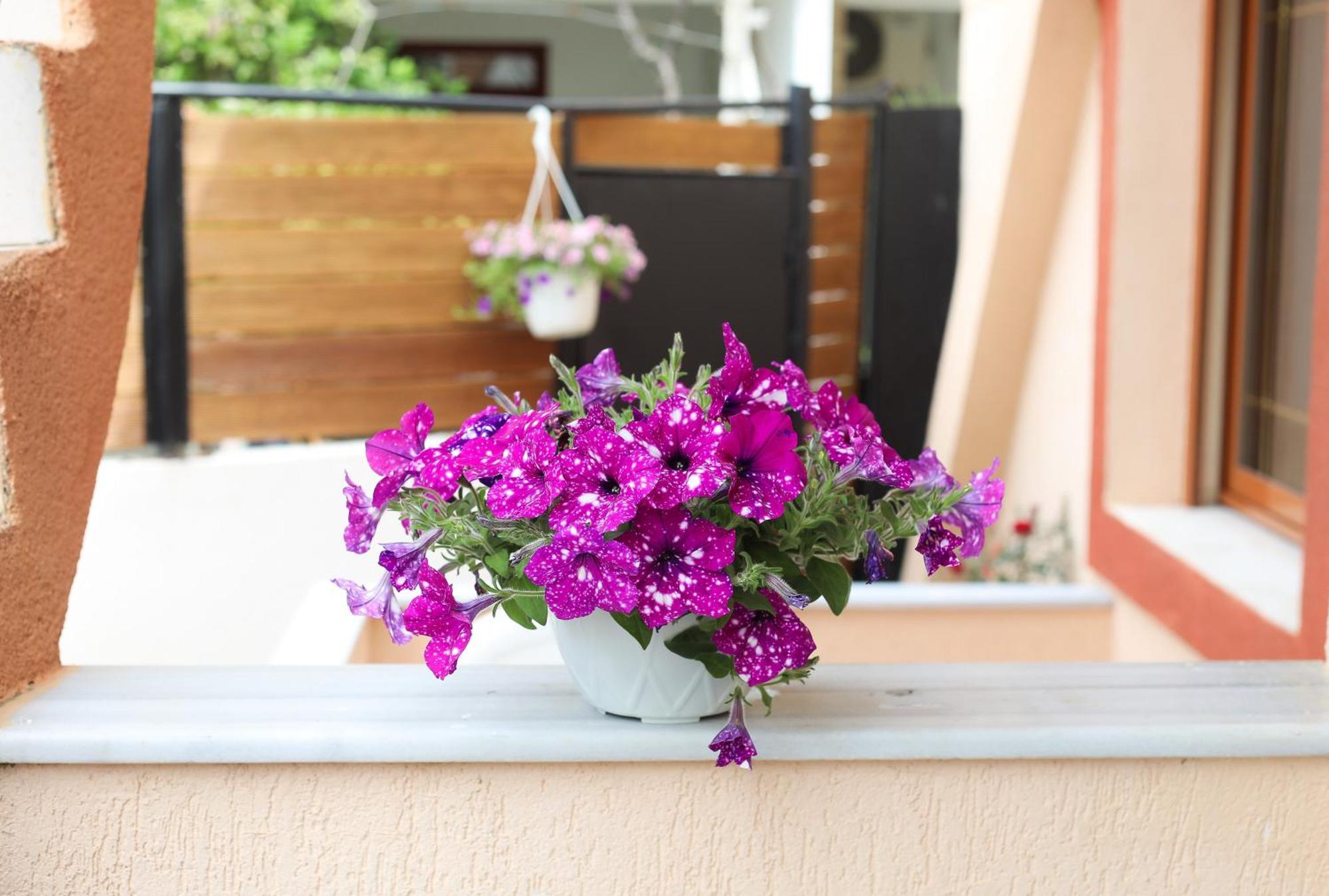 Vila Feliz - Premium Rooms With Free Private Parking Вльора Екстер'єр фото