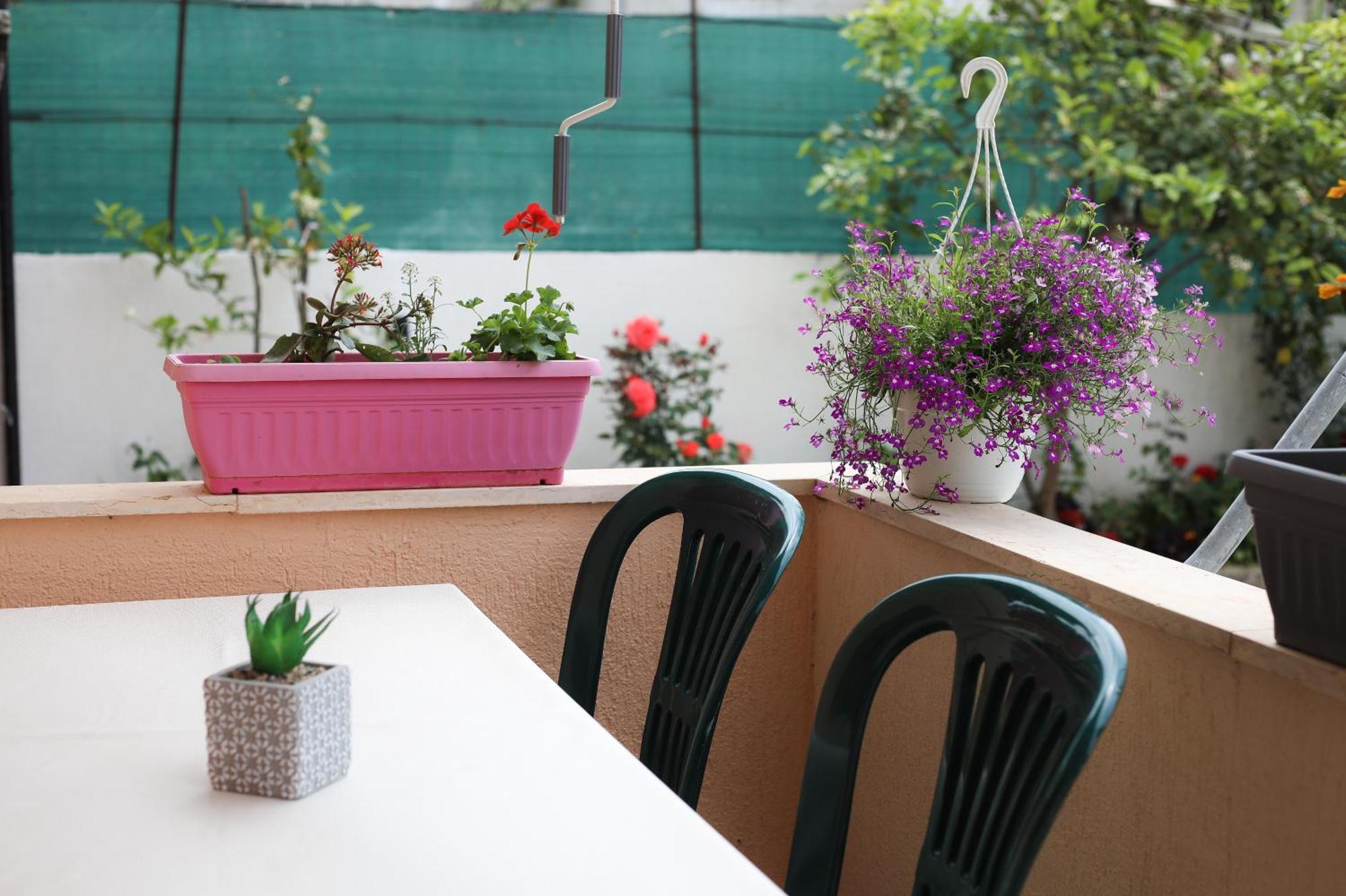 Vila Feliz - Premium Rooms With Free Private Parking Вльора Екстер'єр фото