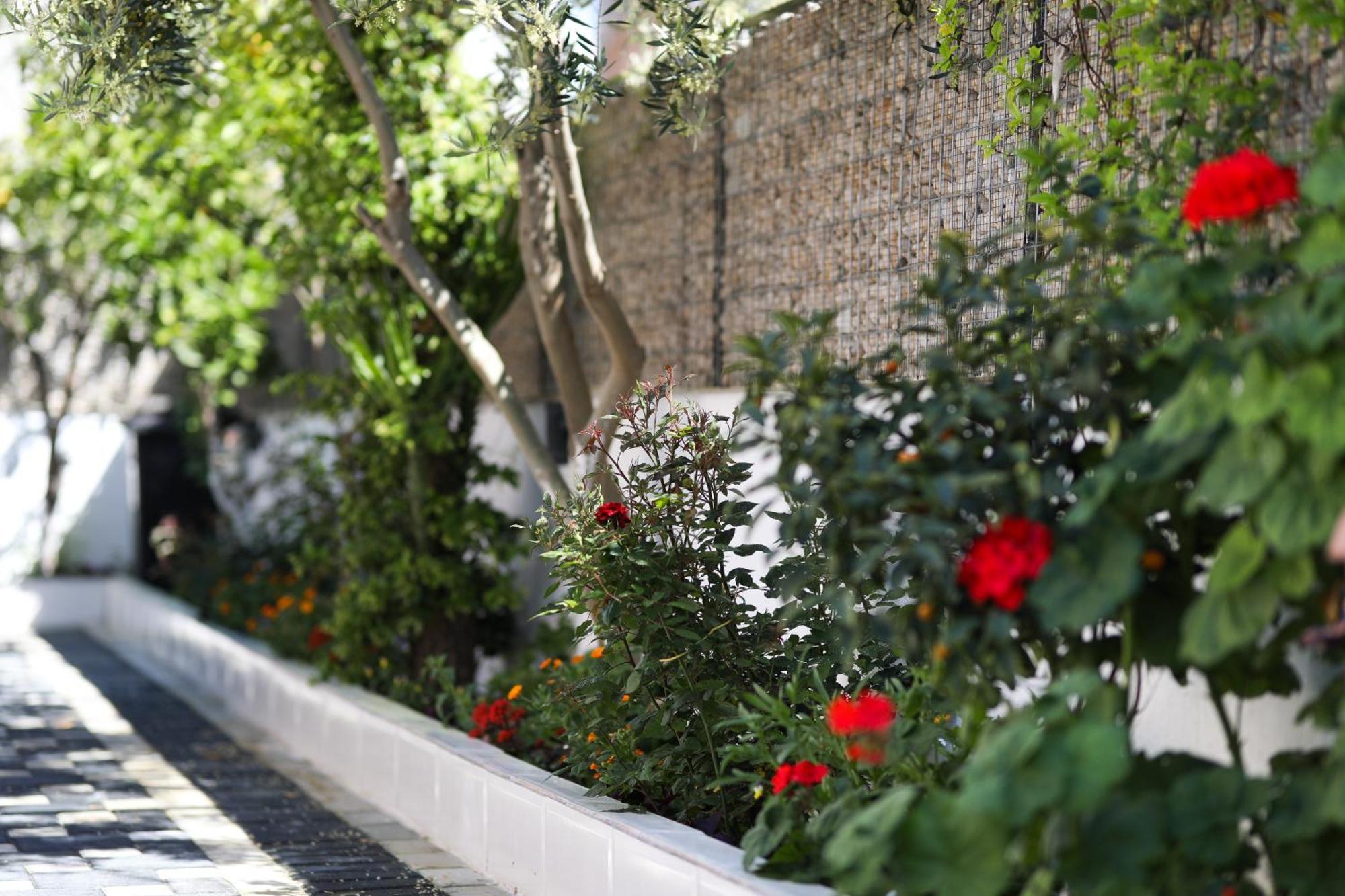 Vila Feliz - Premium Rooms With Free Private Parking Вльора Екстер'єр фото