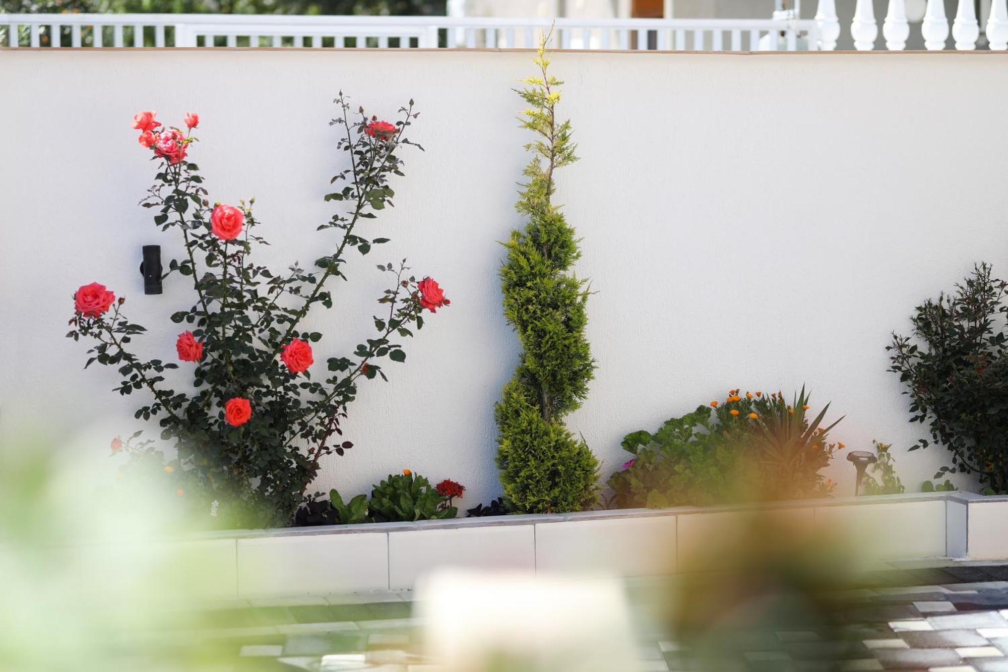 Vila Feliz - Premium Rooms With Free Private Parking Вльора Екстер'єр фото