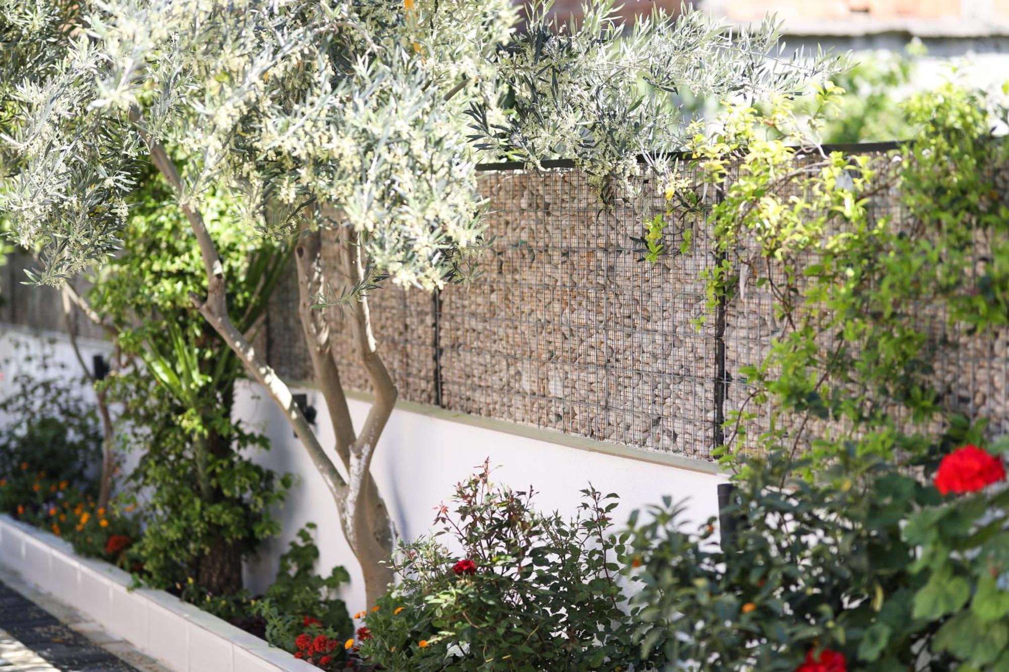 Vila Feliz - Premium Rooms With Free Private Parking Вльора Екстер'єр фото